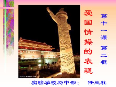 解救金刚鹦鹉