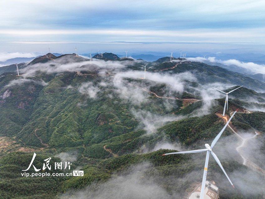 去年山东以工代赈带动群众务工16.2万人